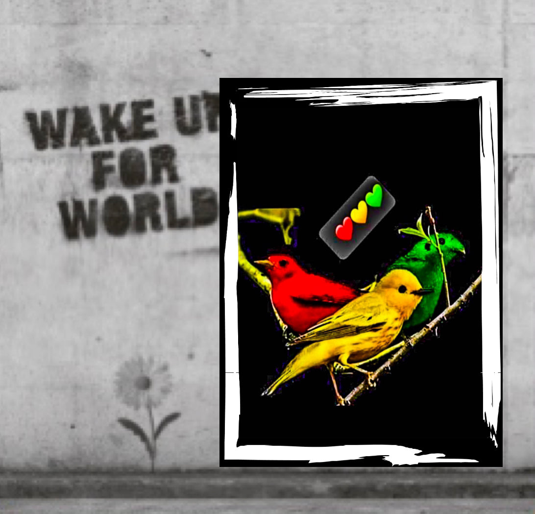 Three little birds Bob Marley canvas print wall hanging comes ready to diisplay  : Size 50x60 cm