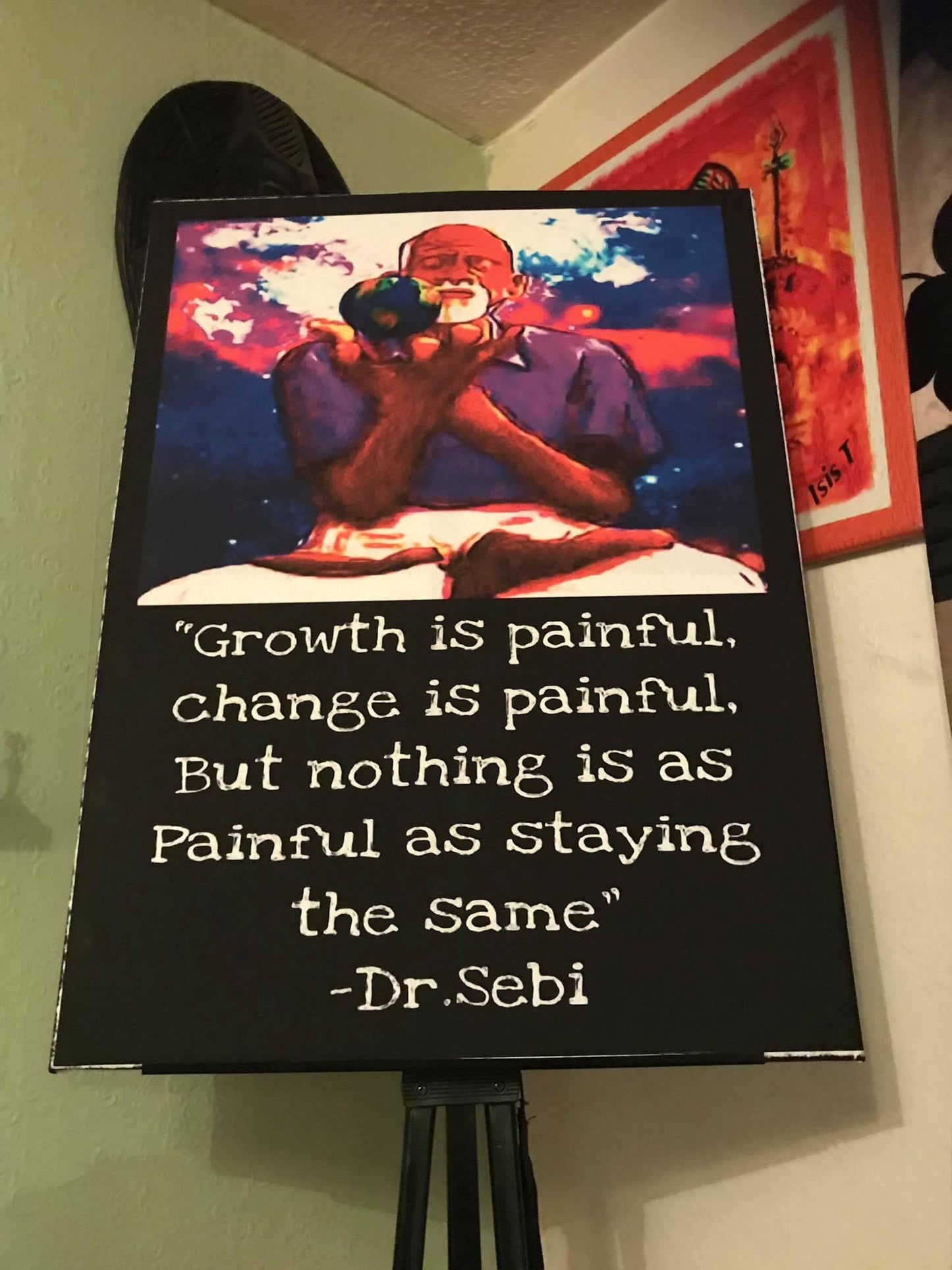 Dr Sebi canvas print wall hanging ready to display Size 60x80cm